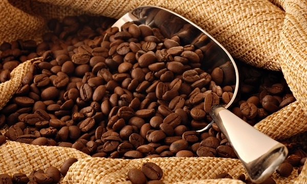 Xuất khẩu cà phê Việt Nam tăng vượt dự báo
